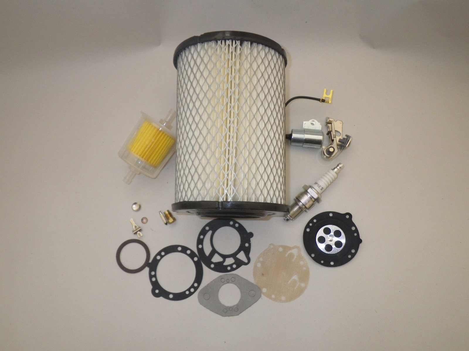 Harley Davidson 2Cycle Golf Cart 19711981 Tune Up Carburetor Rebuild